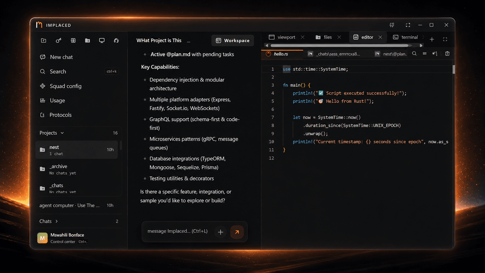 Implaced workspace with project structure on the left and a Rust editor surface on the right, showing the platform's native desktop feel.